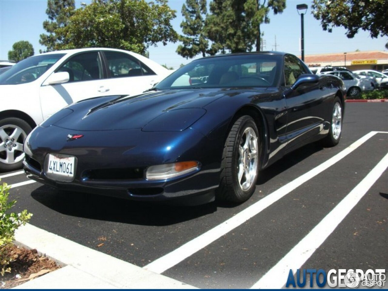 Chevrolet Corvette C5