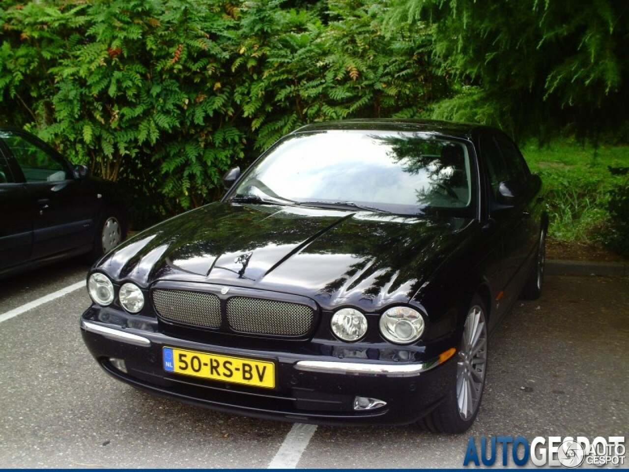 Jaguar XJR