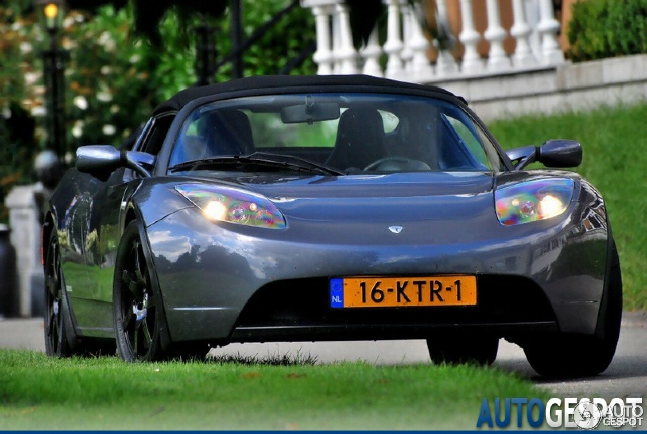 Tesla Motors Roadster Sport Signature 250