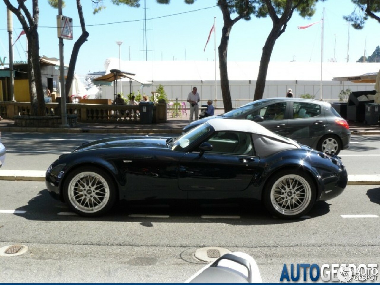 Wiesmann Roadster MF4