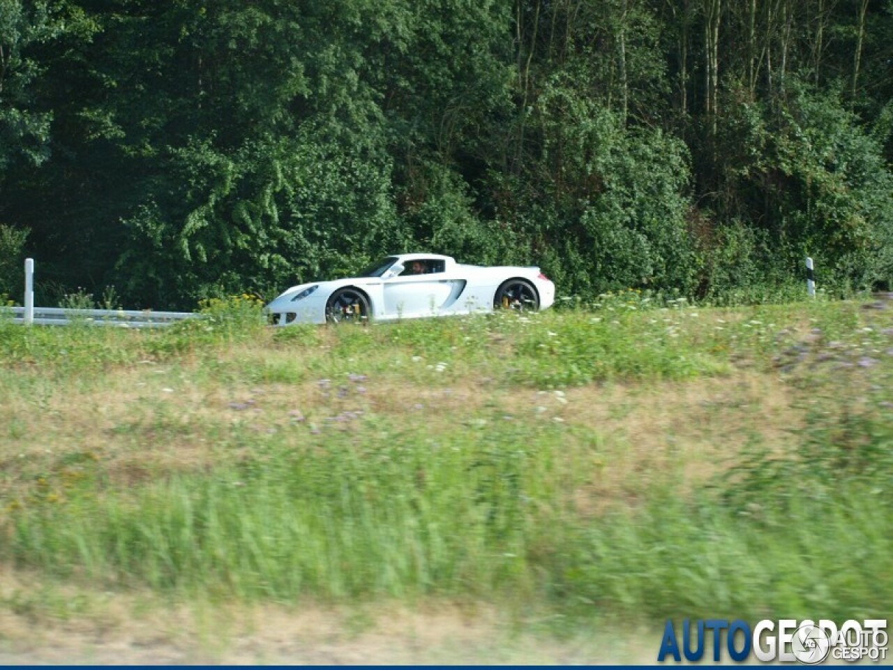 Porsche Carrera GT