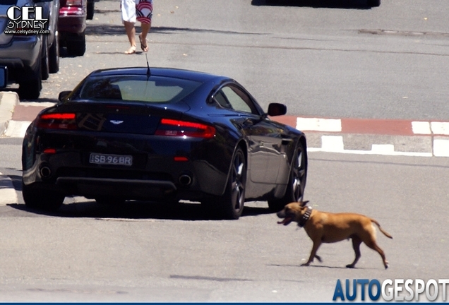 Aston Martin V8 Vantage