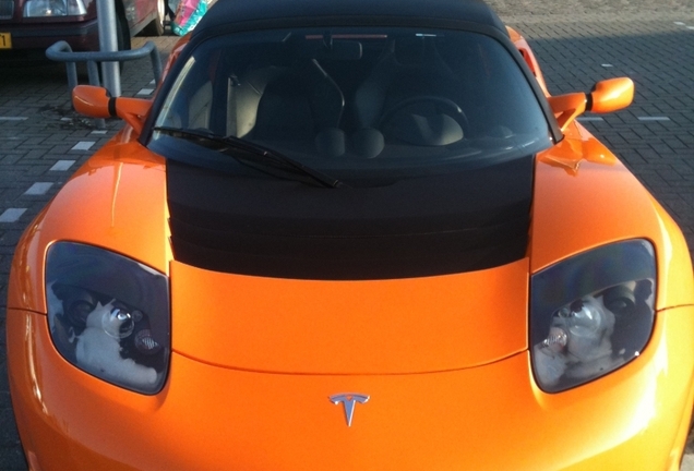 Tesla Motors Roadster 2.5