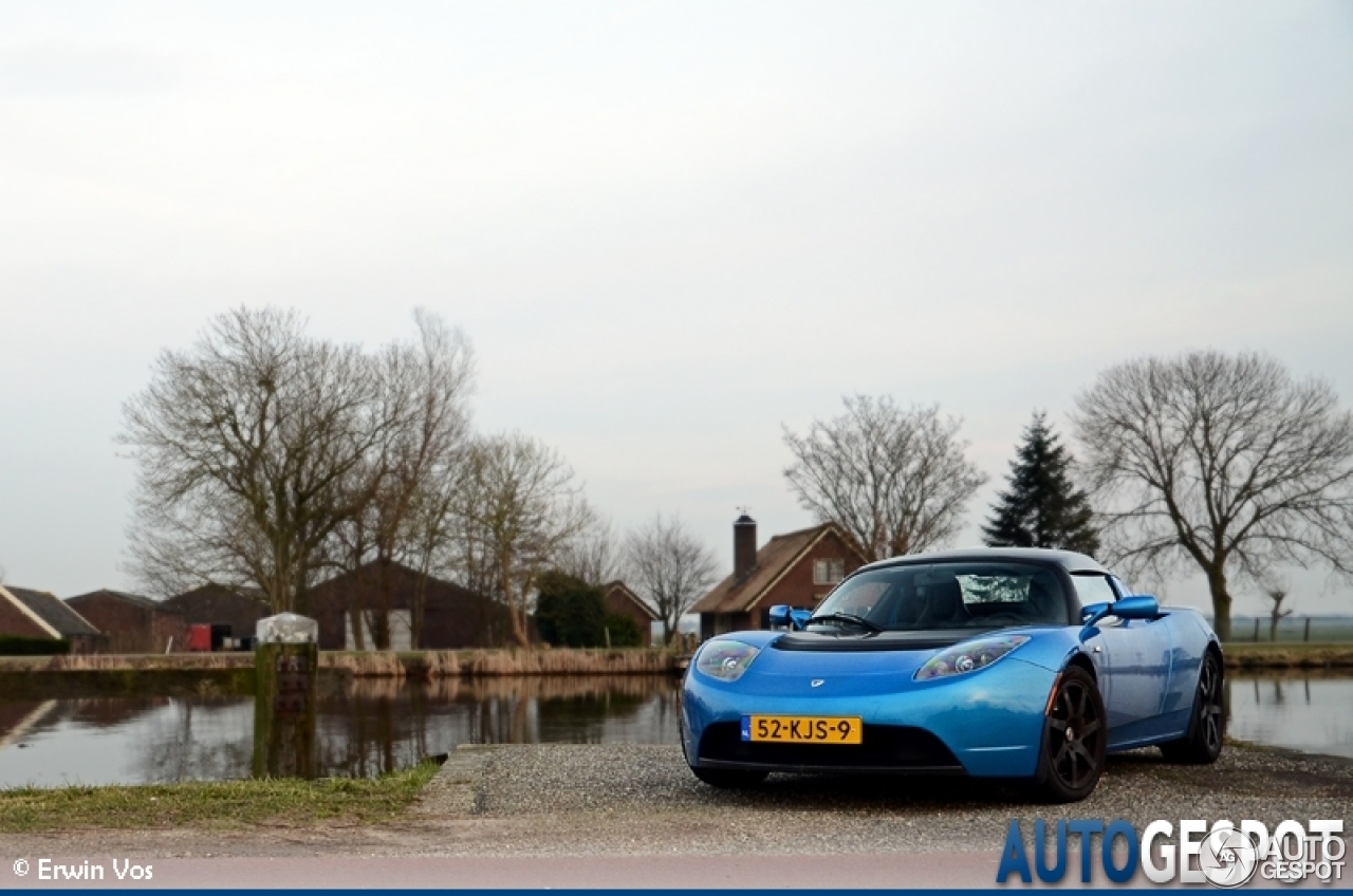 Tesla Motors Roadster Signature 250