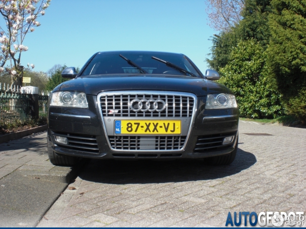 Audi S8 D3