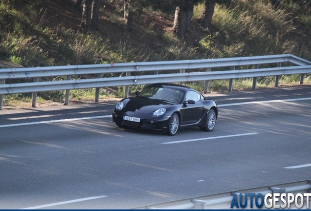 Porsche 987 Cayman S