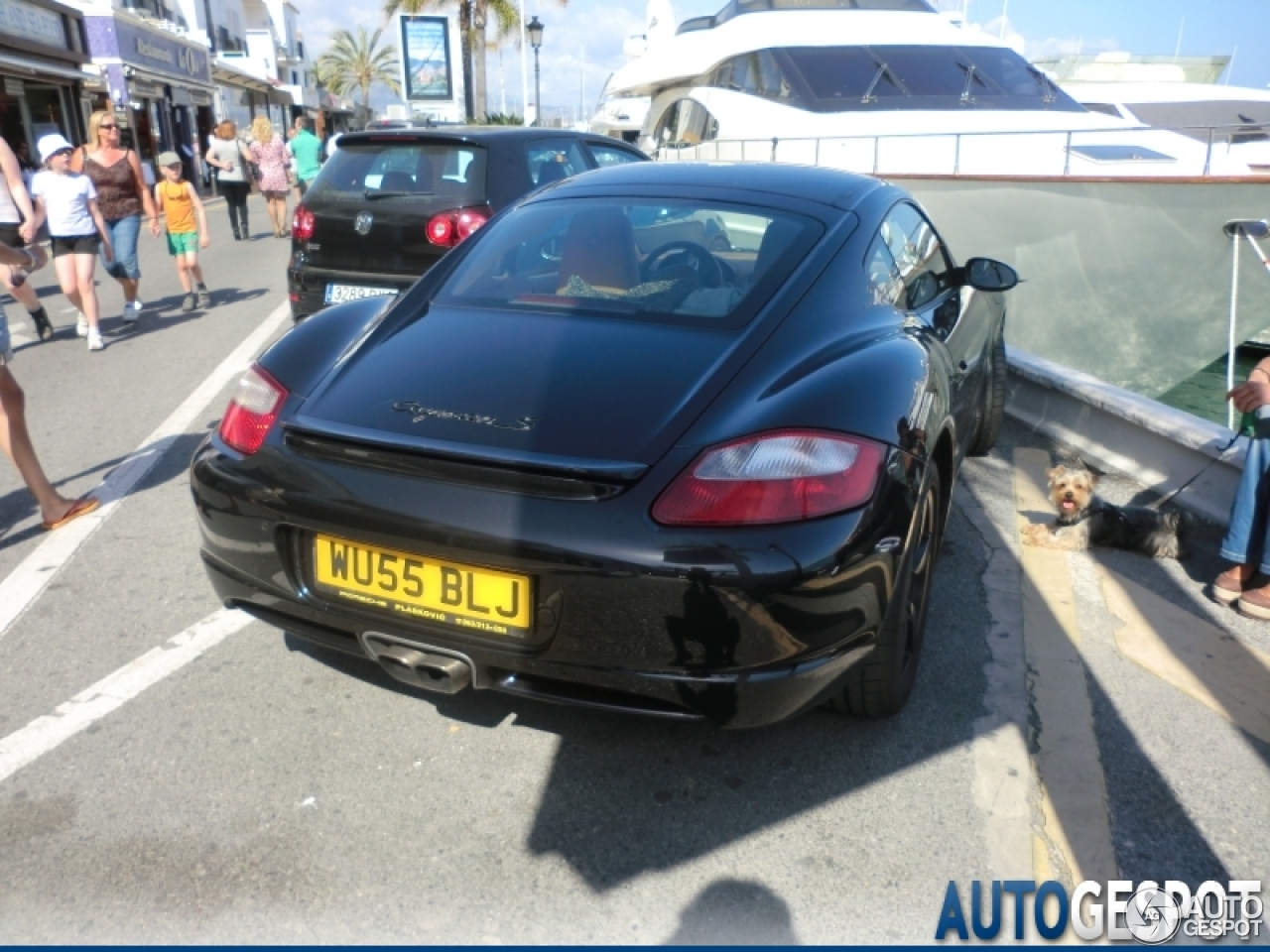 Porsche 987 Cayman S