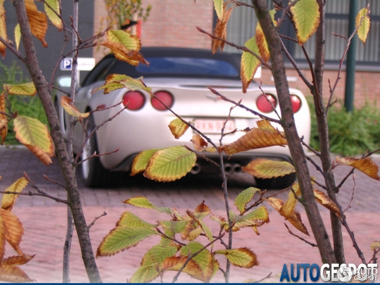 Chevrolet Corvette C6 Convertible