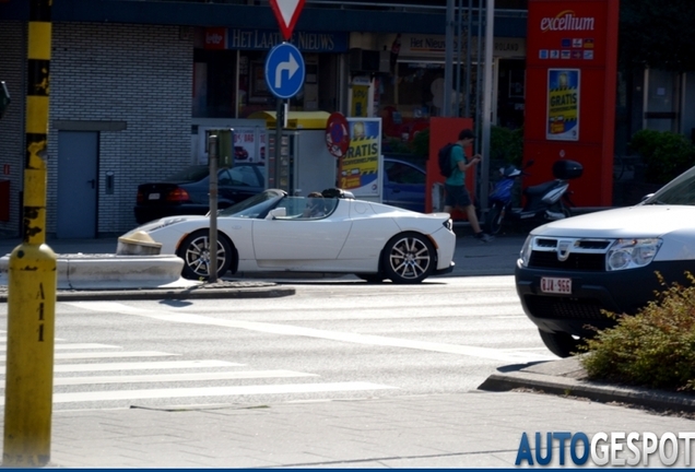 Tesla Motors Roadster Signature 250