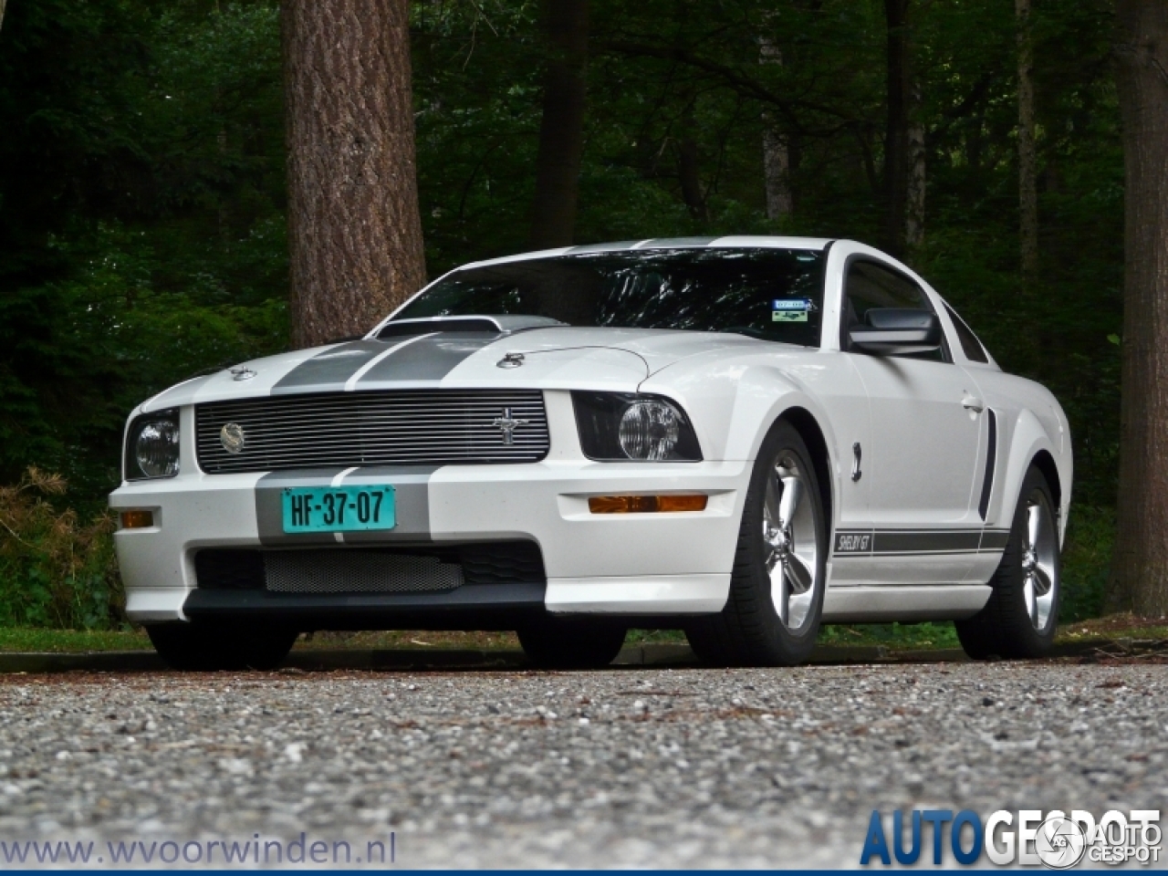 Ford Mustang Shelby GT