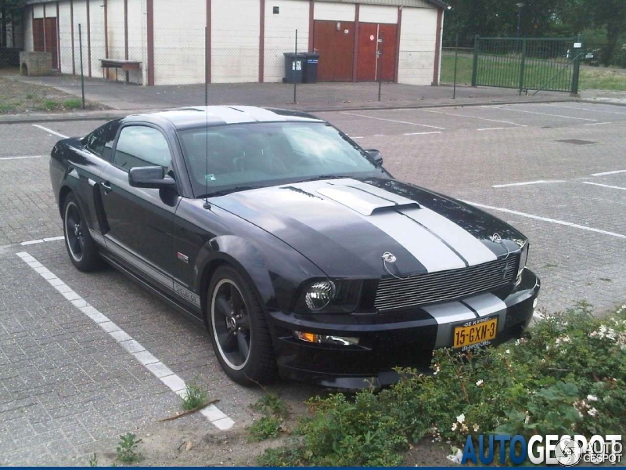 Ford Mustang Shelby GT