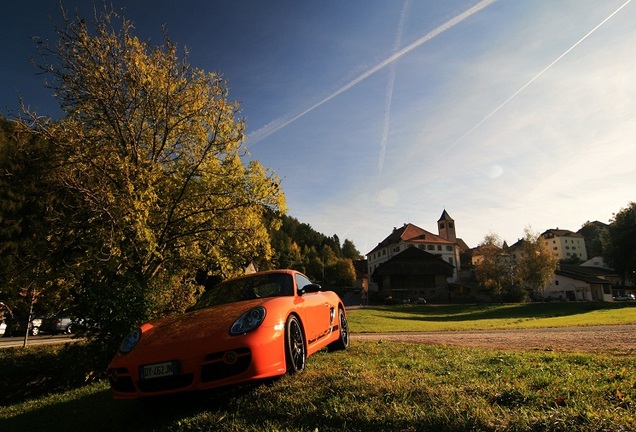 Porsche Cayman S Sport