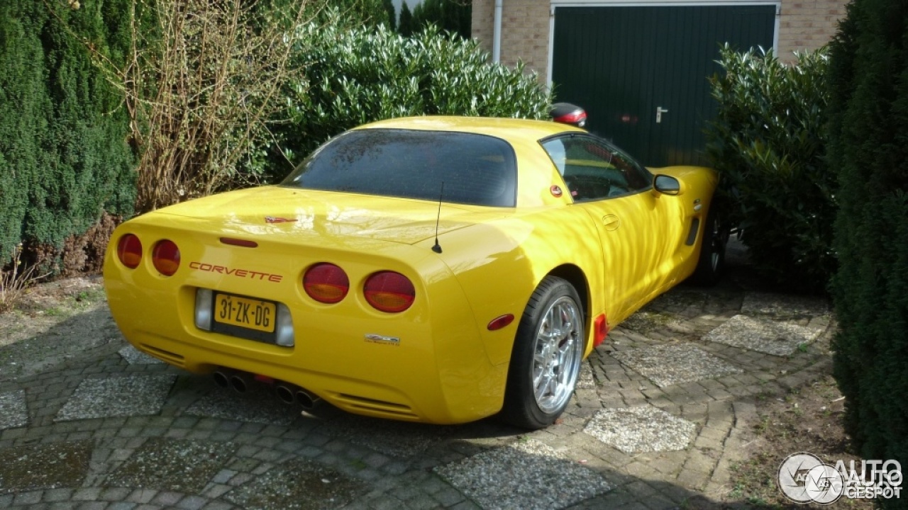 Chevrolet Corvette C5 Z06 Delco/Mongoose 475 ZS