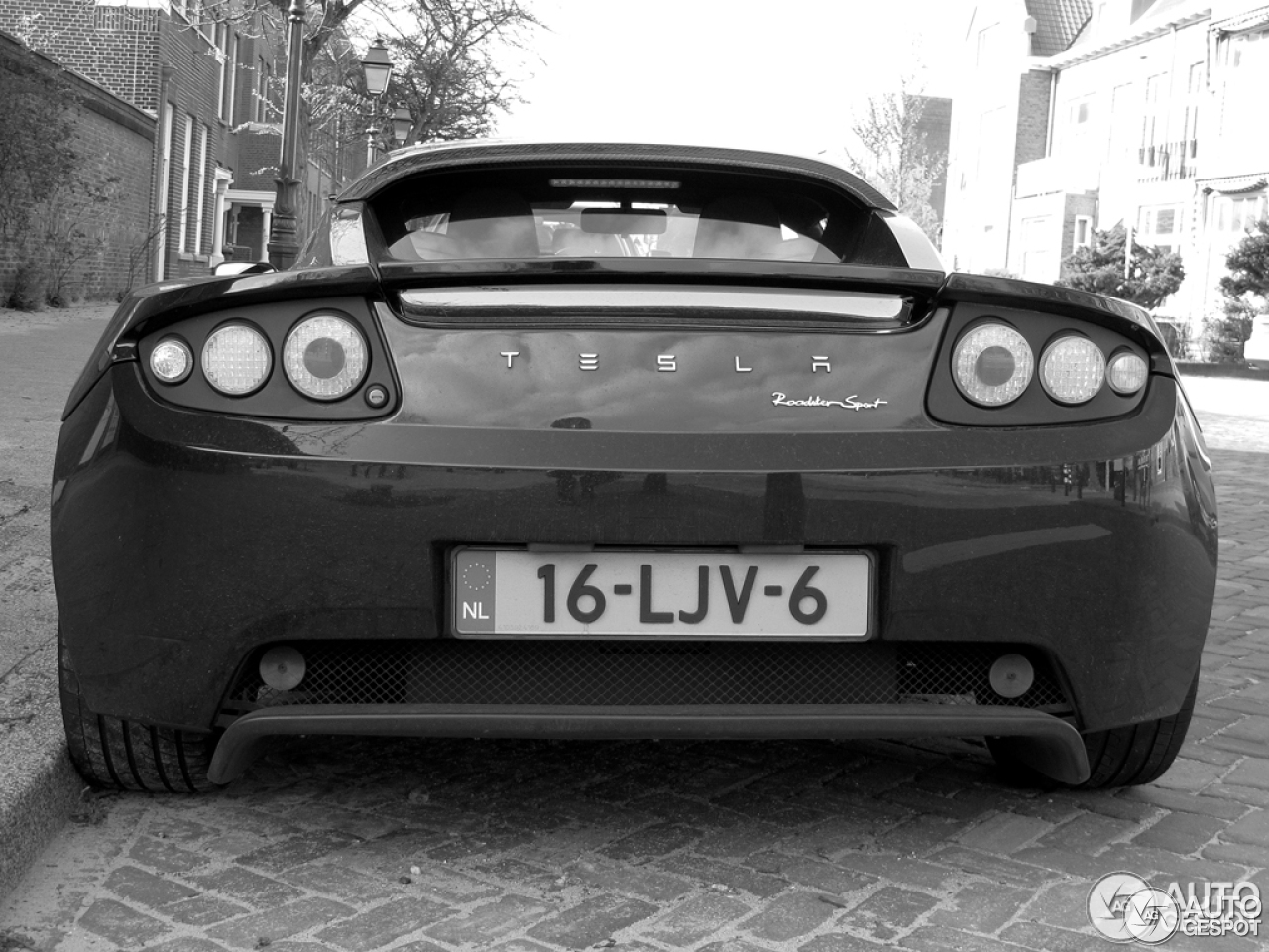 Tesla Motors Roadster Sport Signature 250