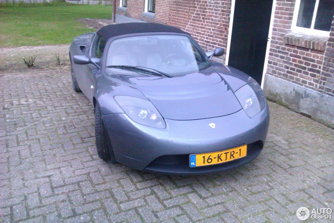 Tesla Motors Roadster Sport Signature 250