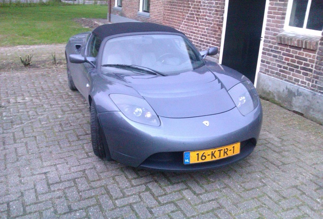 Tesla Motors Roadster Sport Signature 250