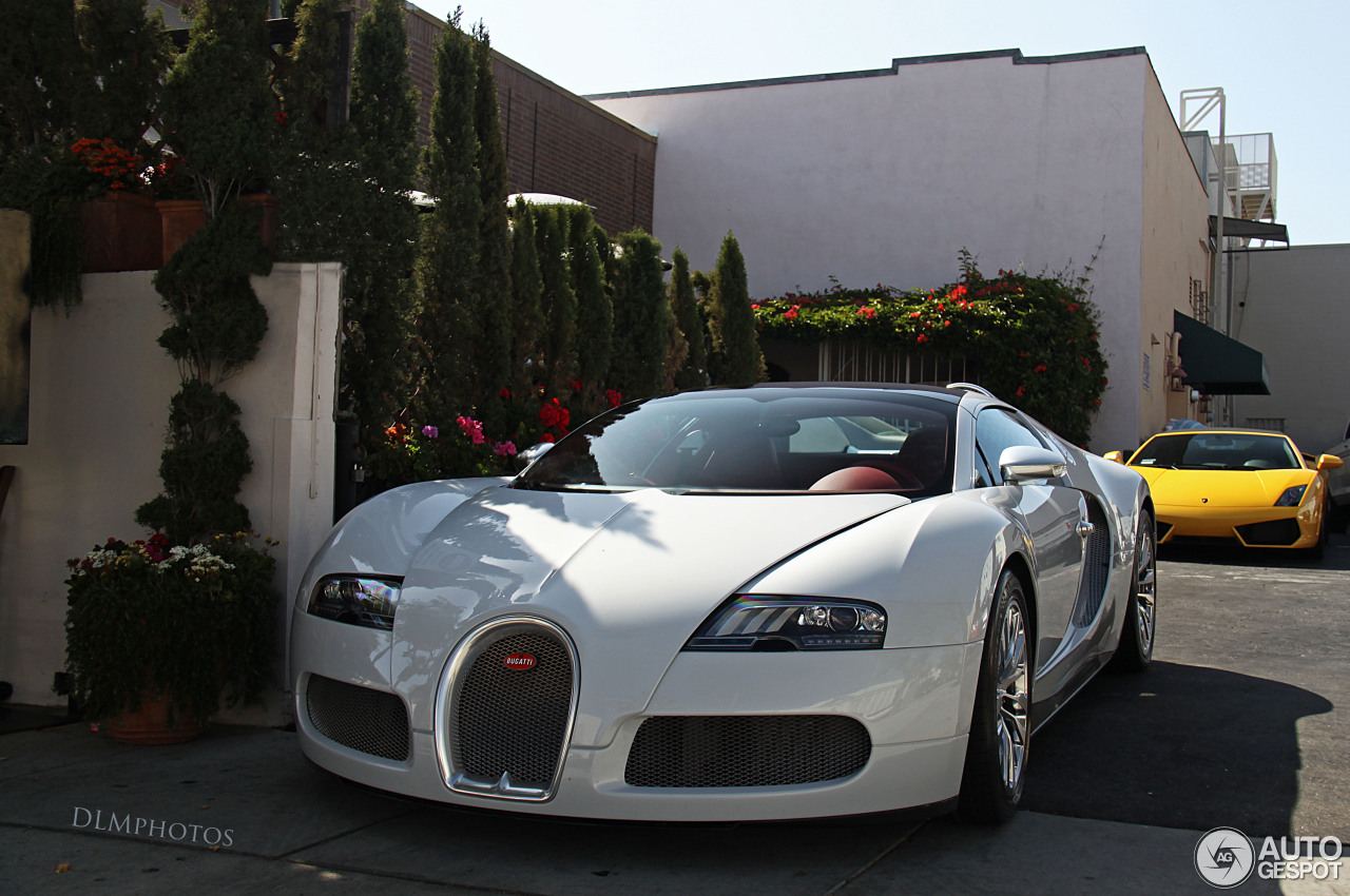 Bugatti Veyron 16.4 Grand Sport