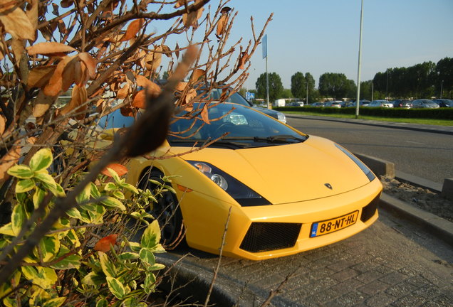 Lamborghini Gallardo