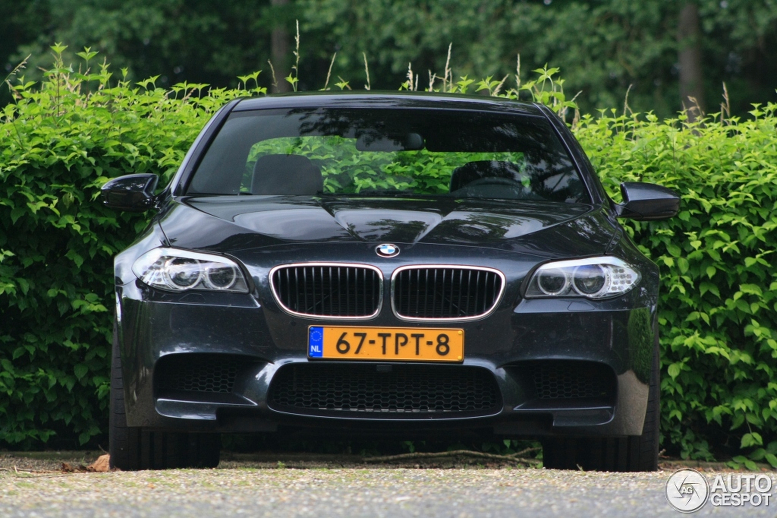 BMW M5 F10 2011