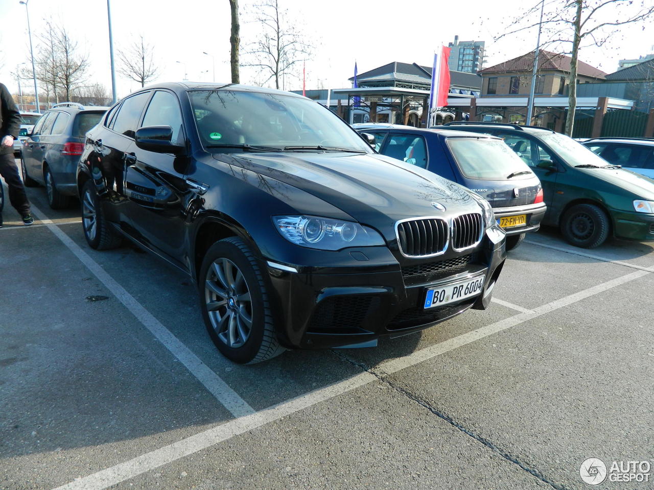 BMW X6 M E71