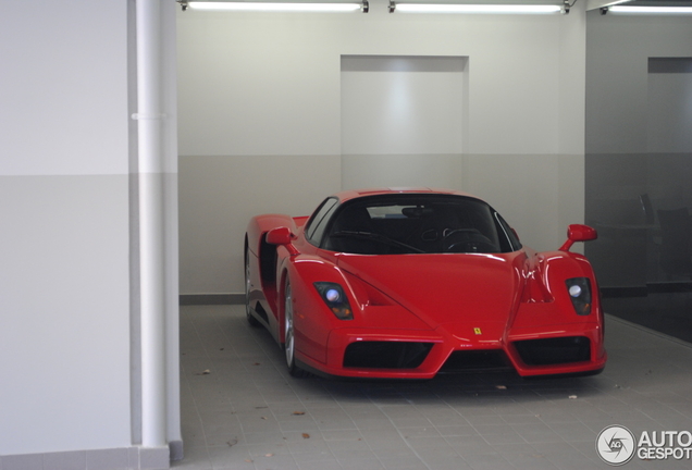 Ferrari Enzo Ferrari