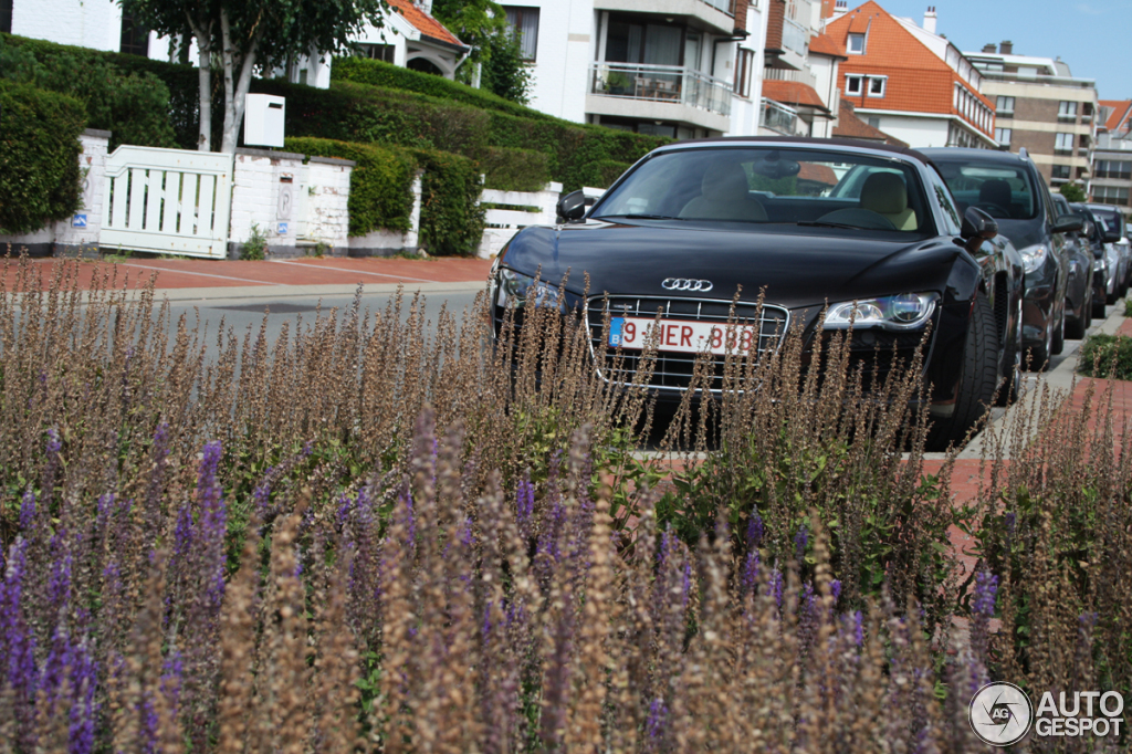 Audi R8 V10 Spyder