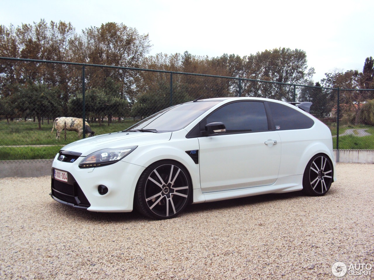 Ford Focus RS 2009