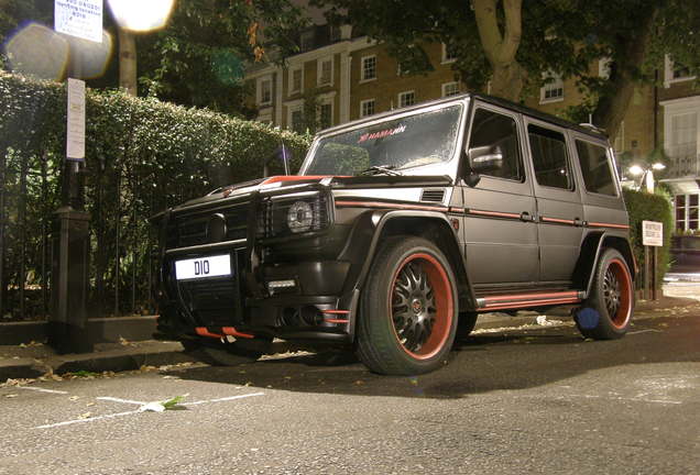 Mercedes-Benz Hamann Typhoon