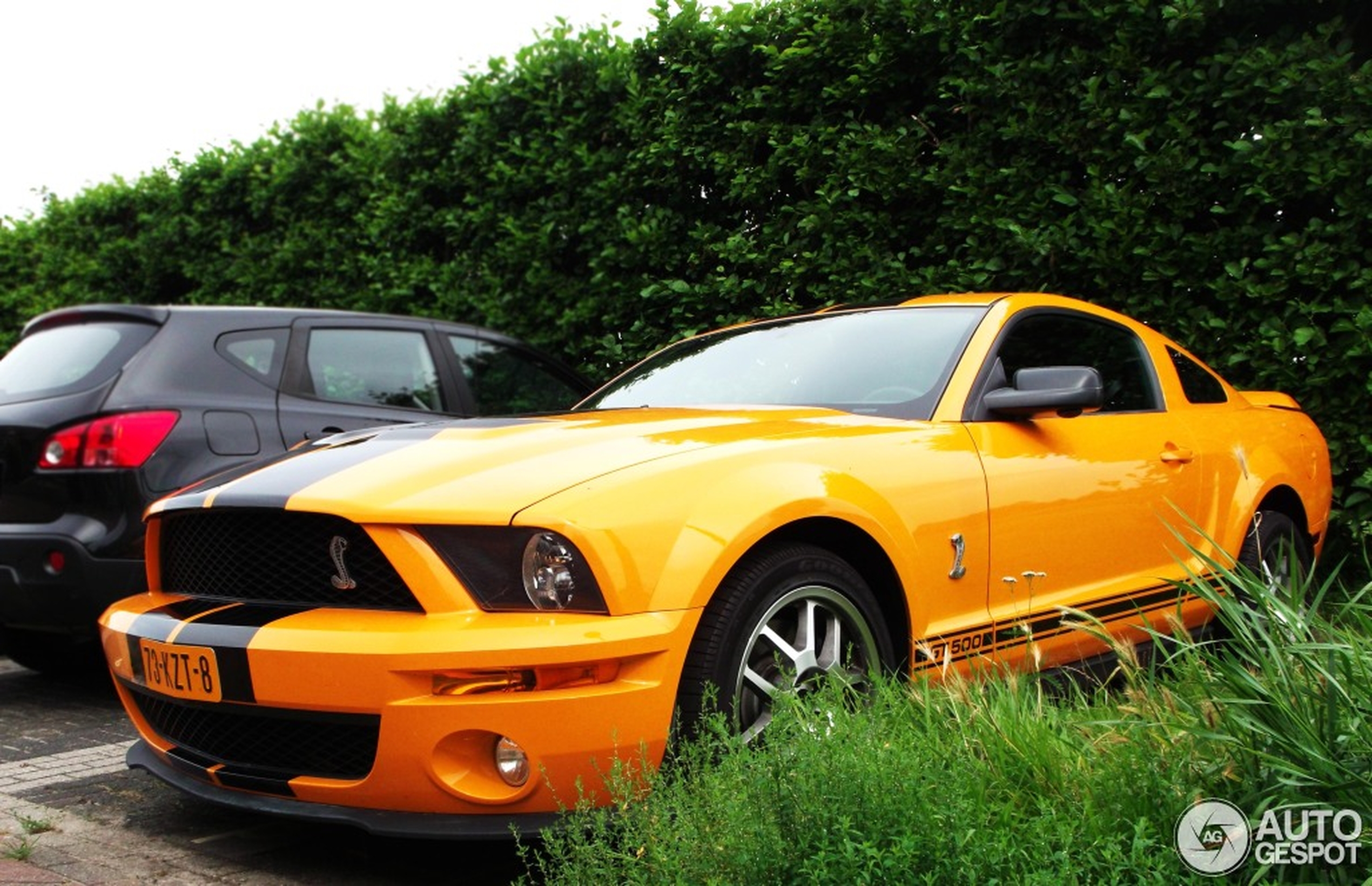 Ford Mustang Shelby GT500