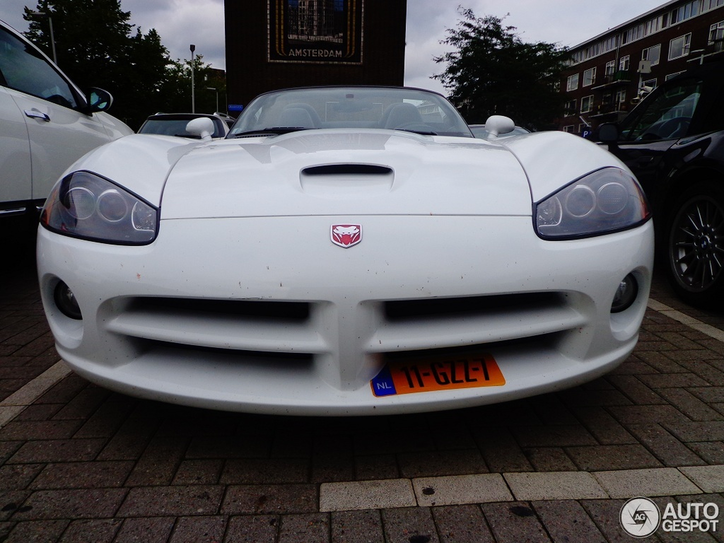 Dodge Viper SRT-10 Roadster White Mamba Edition