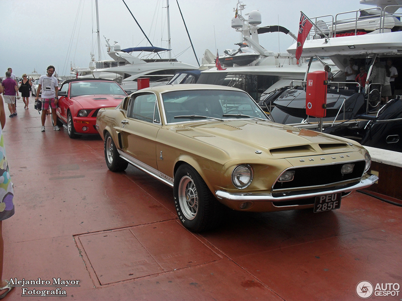 Ford Mustang Shelby G.T. 500