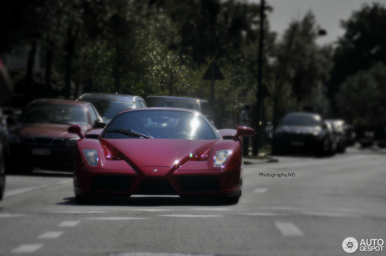 Ferrari Enzo Ferrari