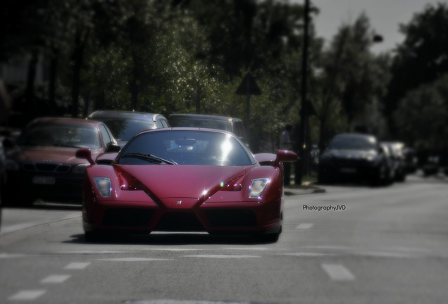 Ferrari Enzo Ferrari