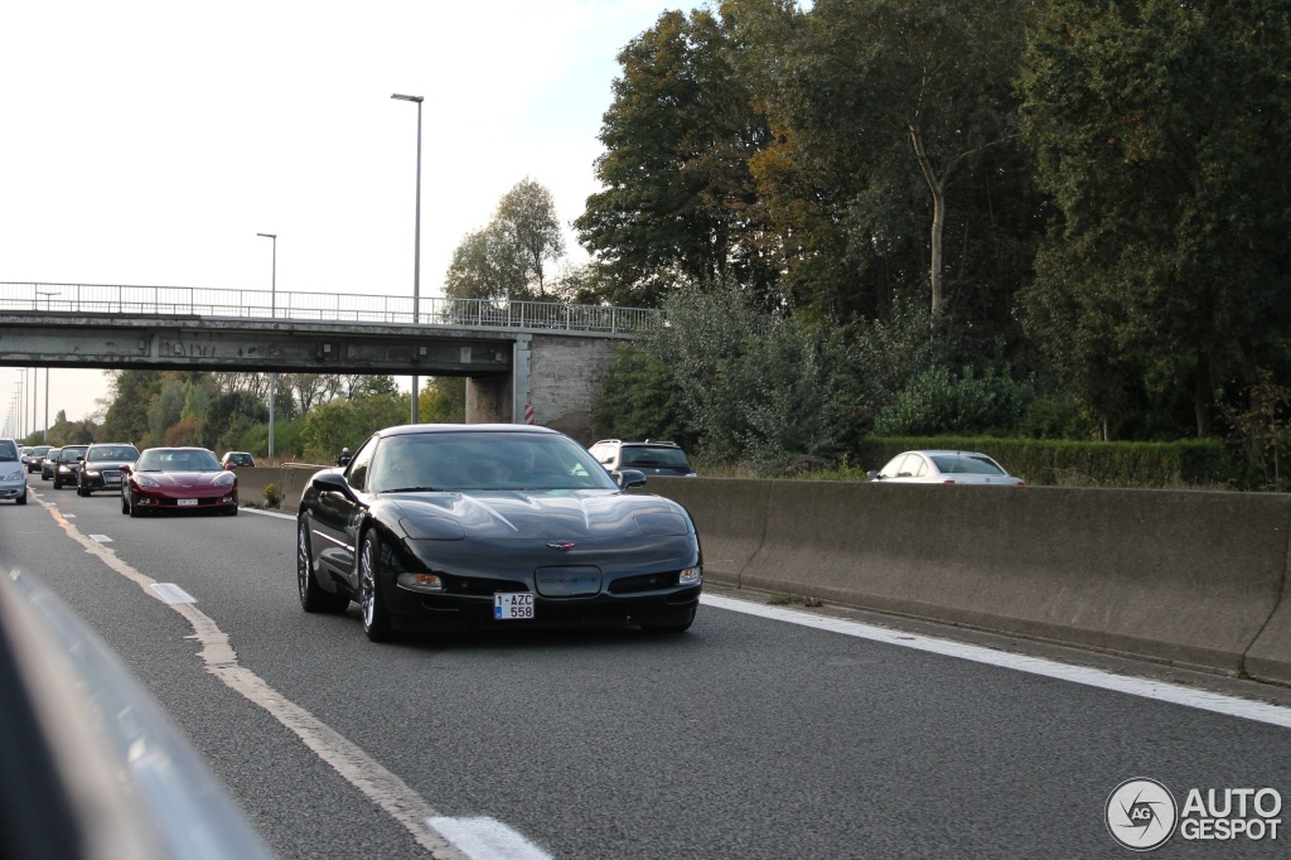 Chevrolet Corvette C5