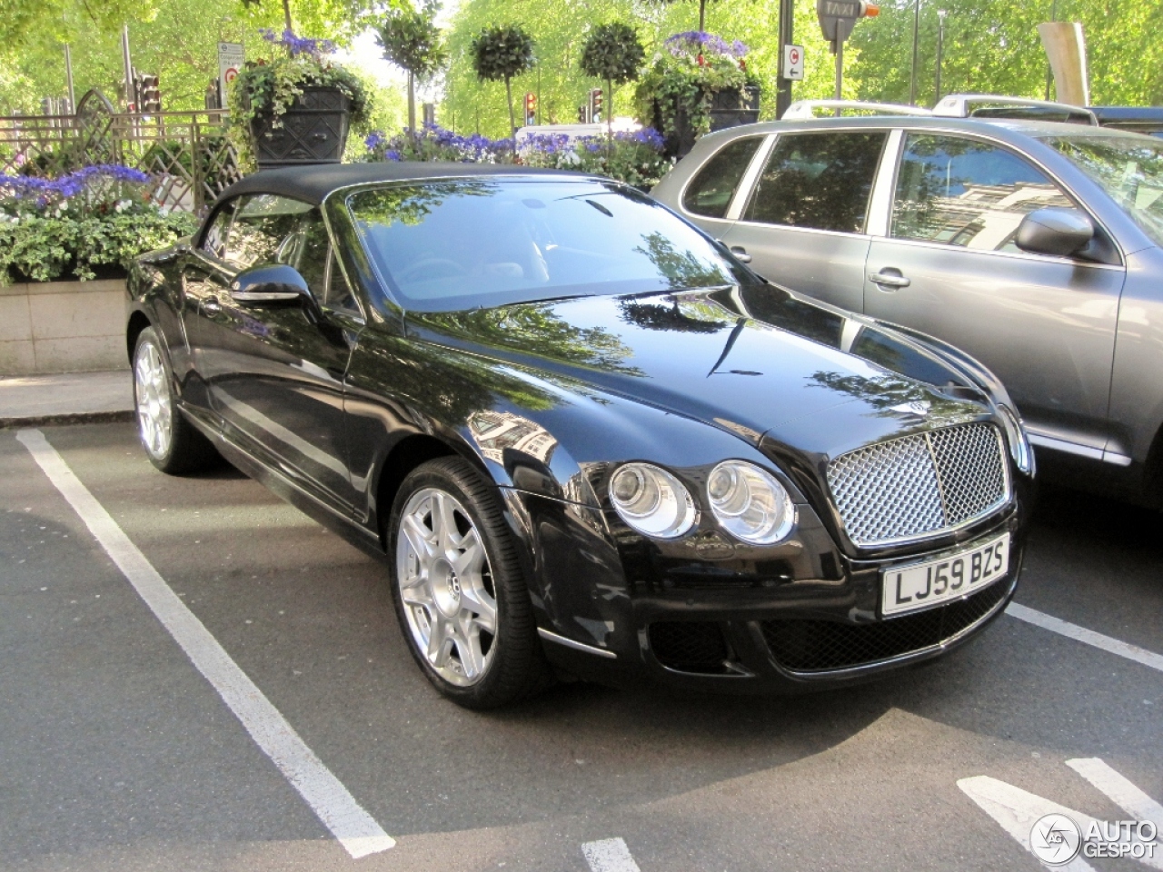 Bentley Continental GTC