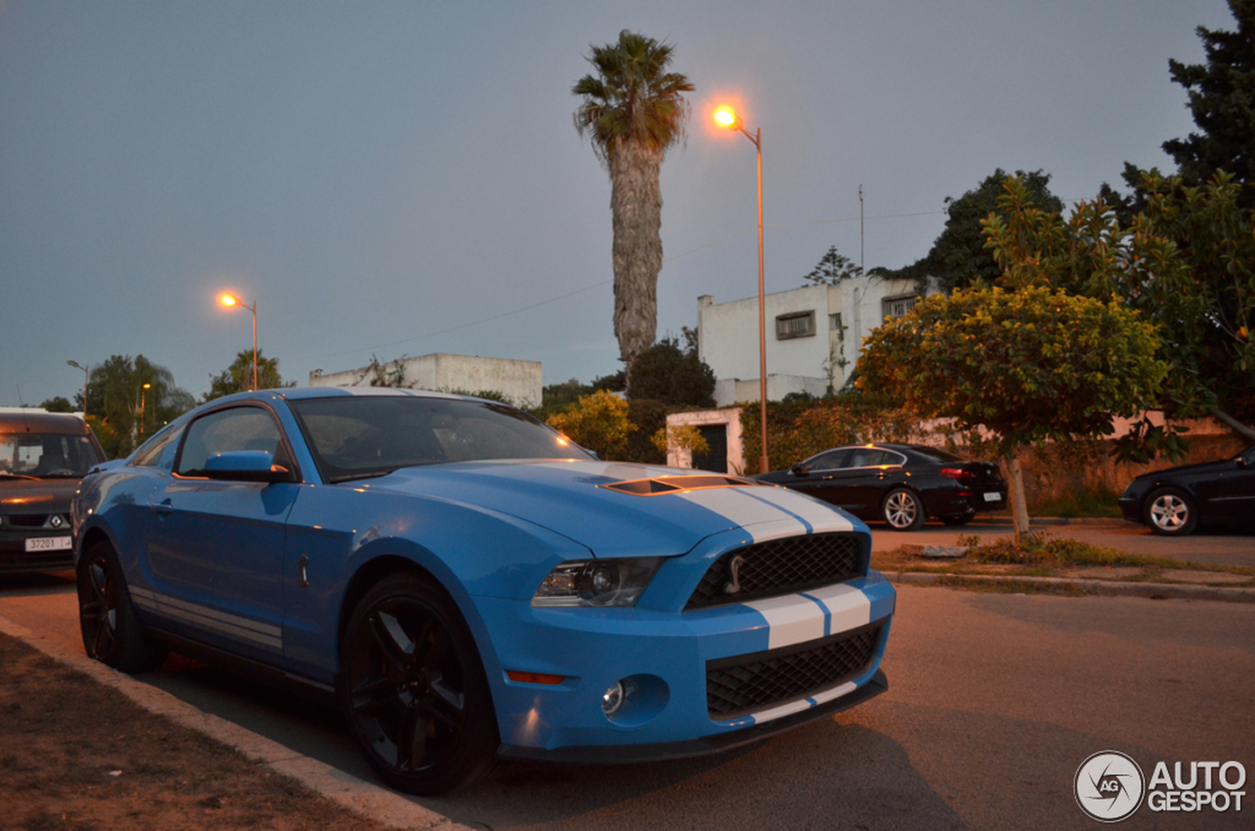 Ford Mustang Shelby GT500 2010