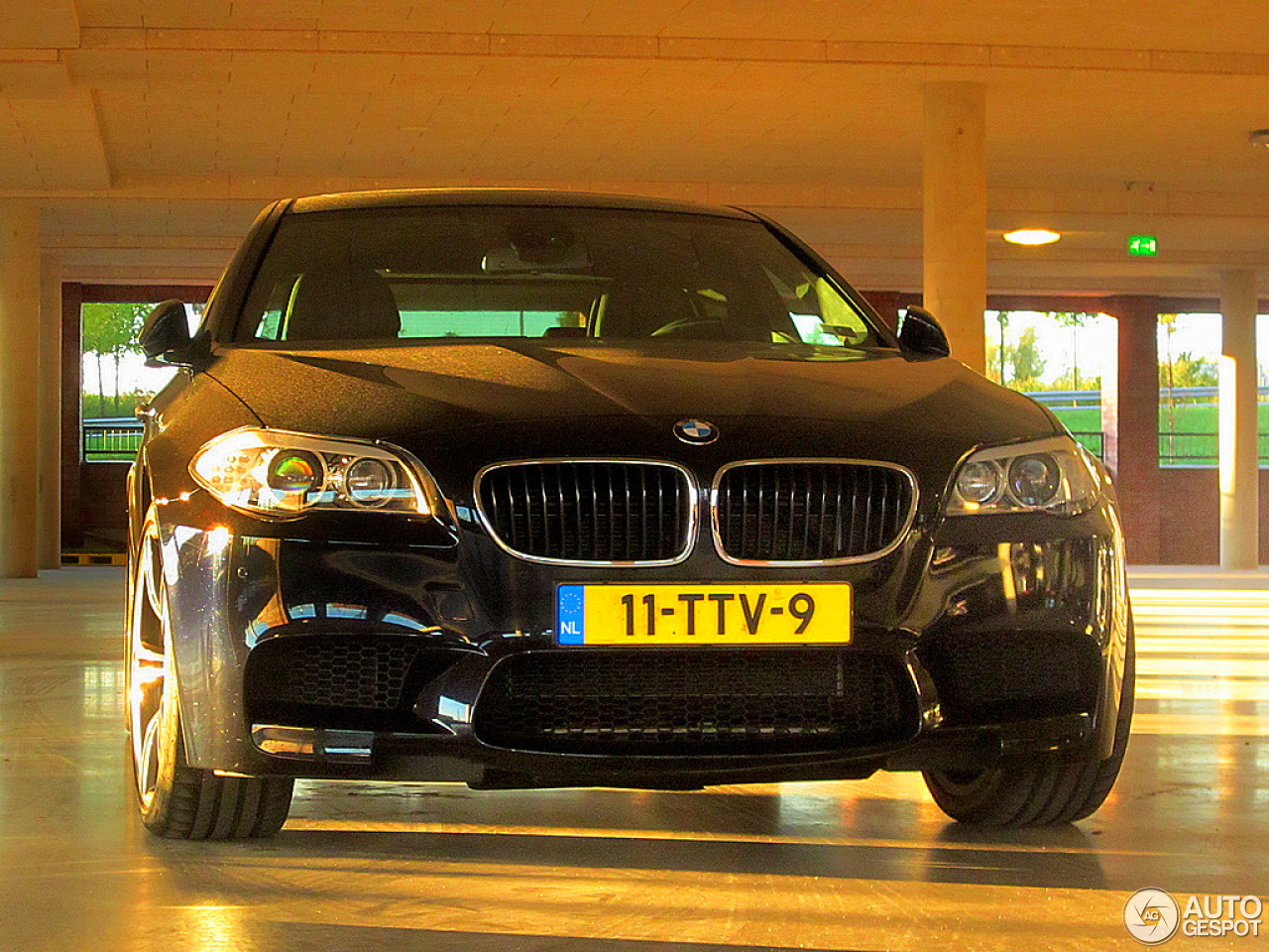 BMW M5 F10 2011