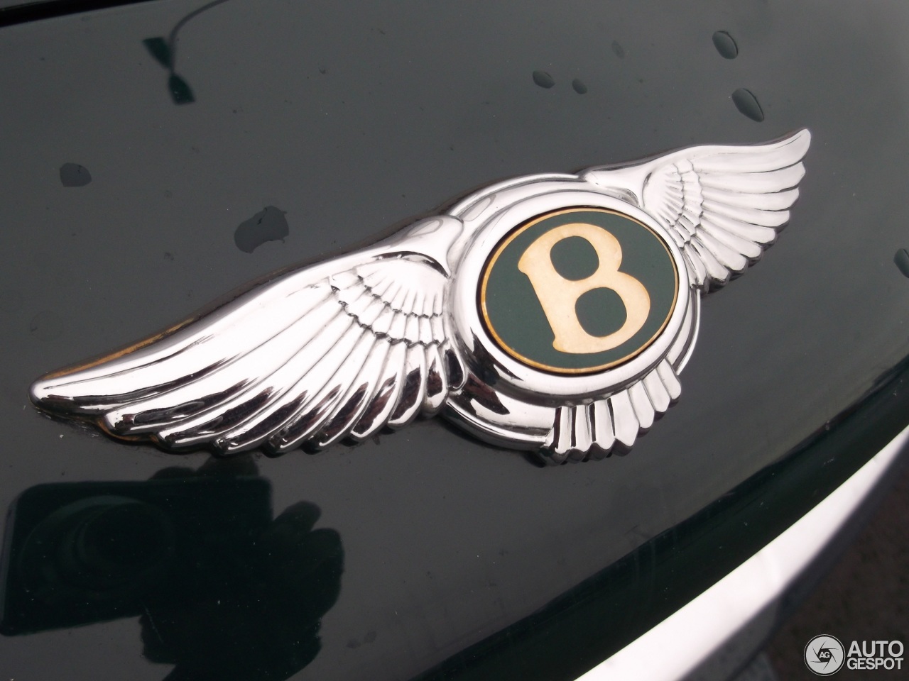 Bentley Arnage Green Label