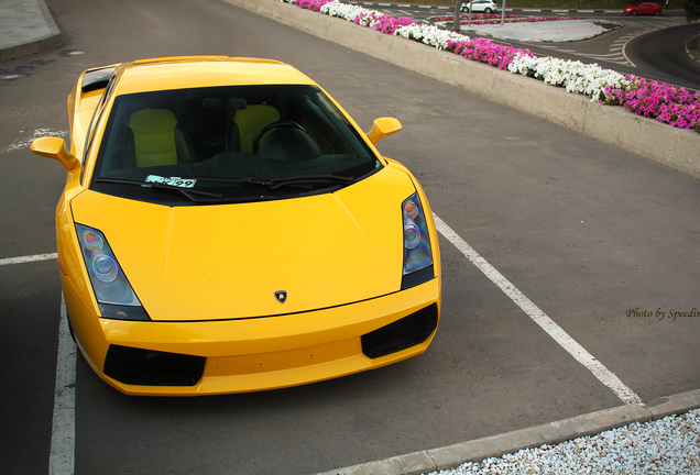 Lamborghini Gallardo