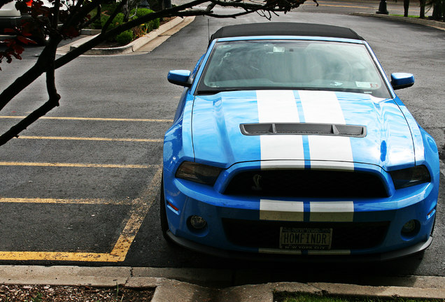 Ford Mustang Shelby GT500 Convertible 2010