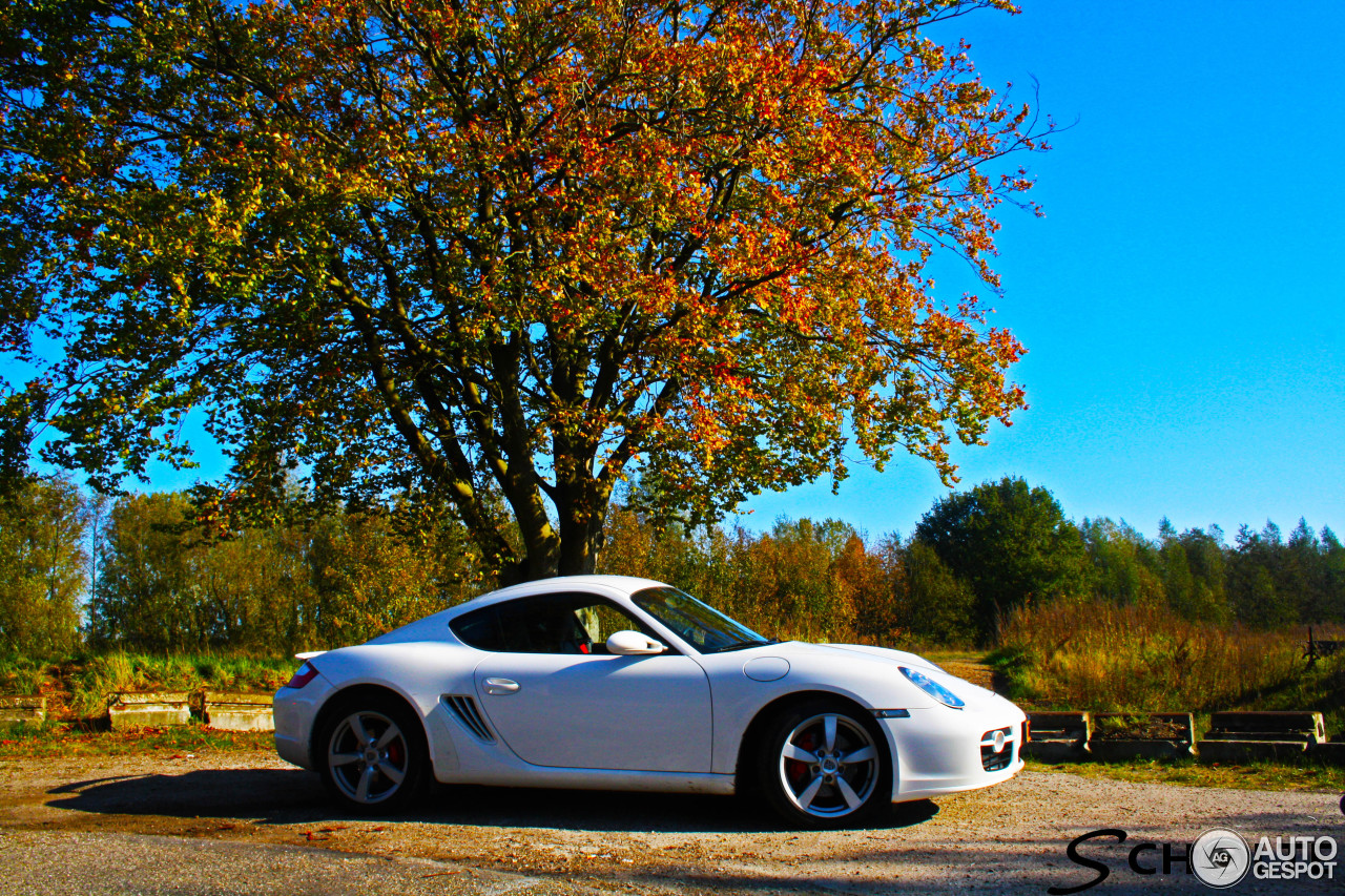 Porsche 987 Cayman S