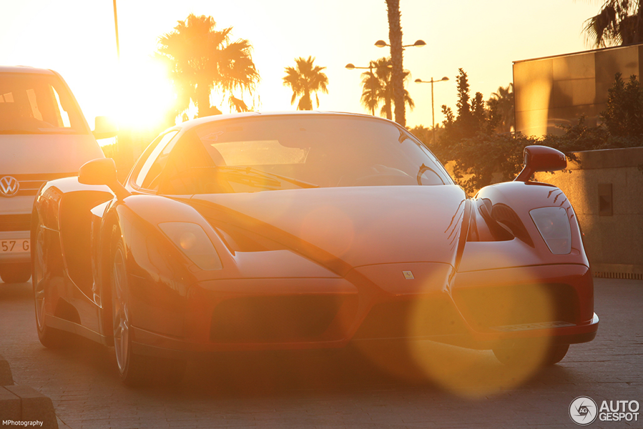 Ferrari Enzo Ferrari