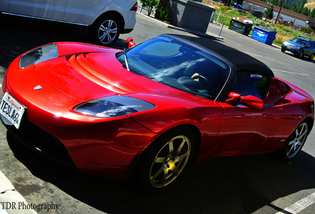 Tesla Motors Roadster Signature 250