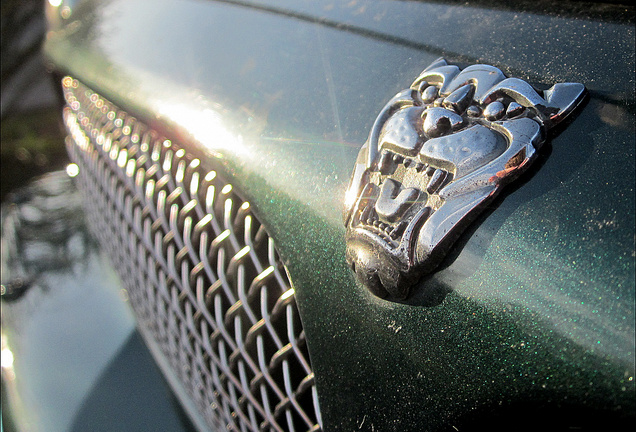 Jaguar XJR