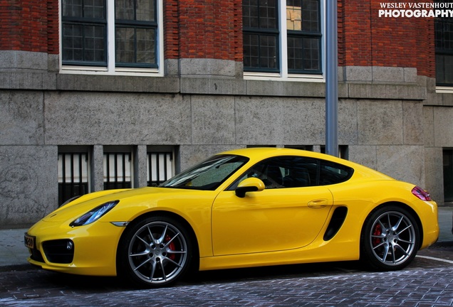 Porsche 981 Cayman S