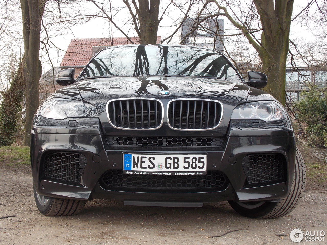 BMW X6 M E71