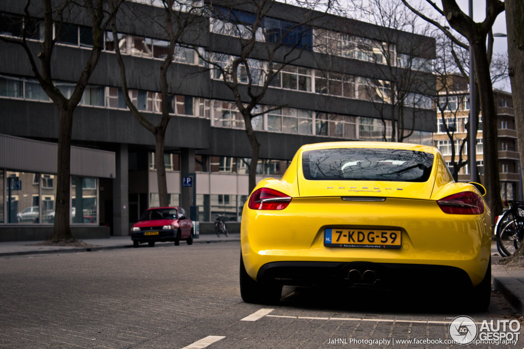 Porsche 981 Cayman S