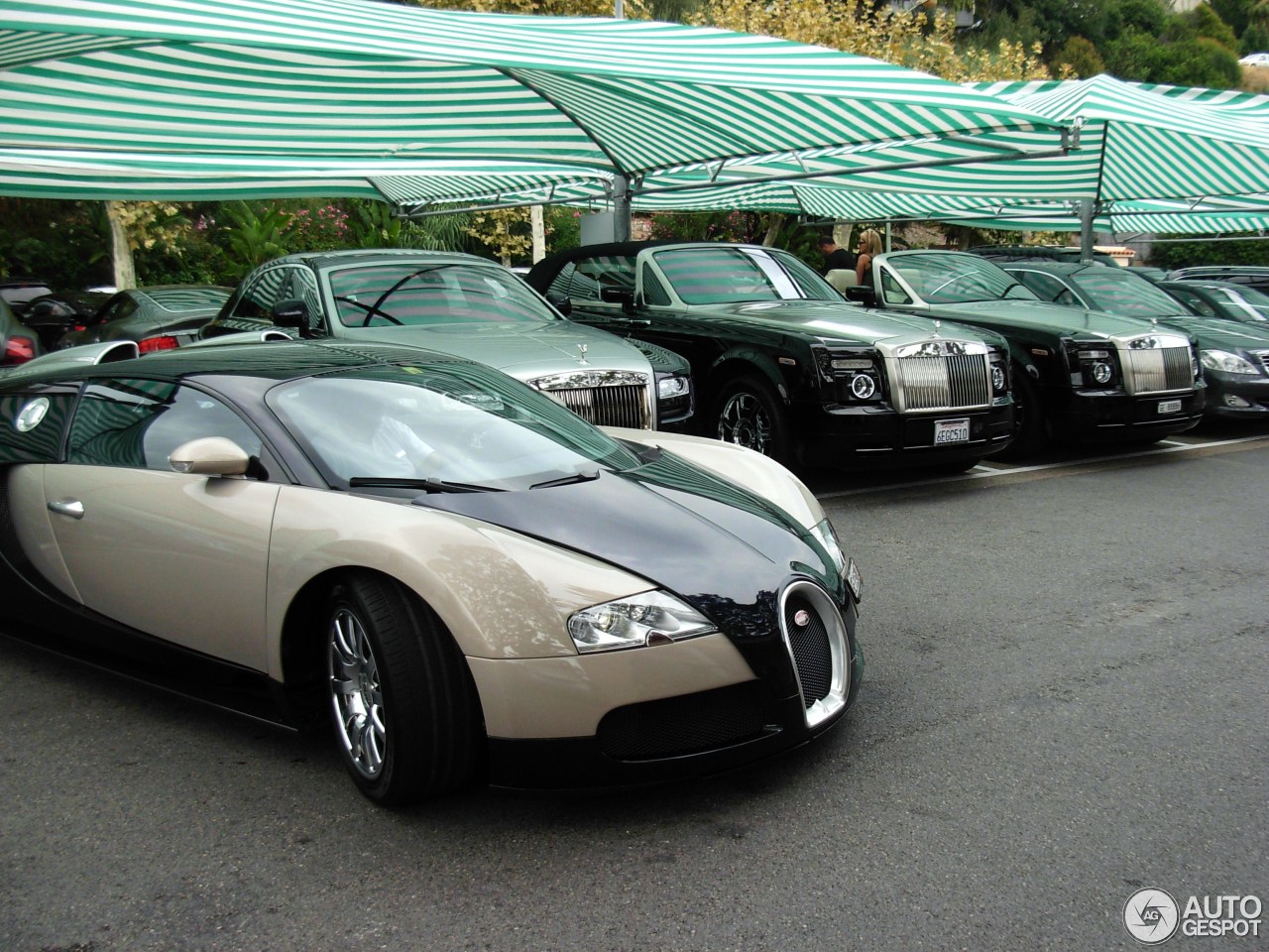 Bugatti Veyron 16.4