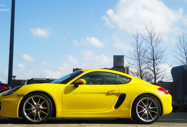 Porsche 981 Cayman S