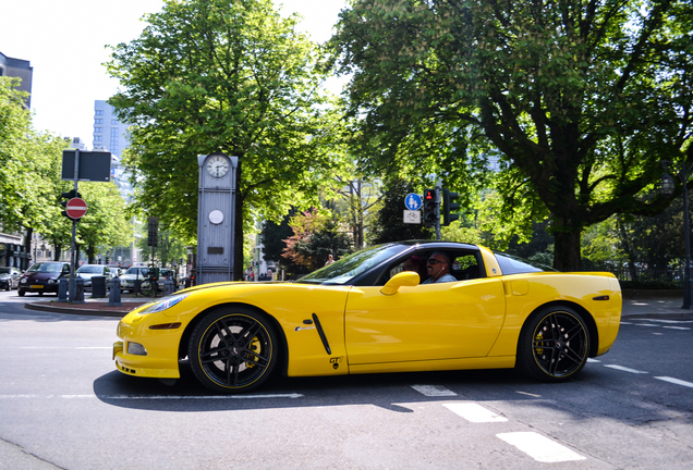 Chevrolet Corvette C6 GT1 Championship Edition